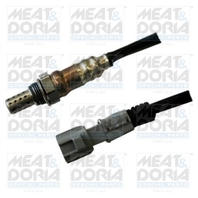 Oxygen Sensor